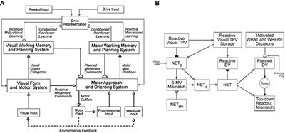 The Embodied Brain of SOVEREIGN2: From Space-Variant Conscious Percepts During Visual Search and Navigation to Learning Invariant Object Categories and Cognitive-Emotional Plans for Acquiring Valued Goals